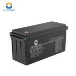 LVTOPSUN LVTS-256100 Lithium Battery